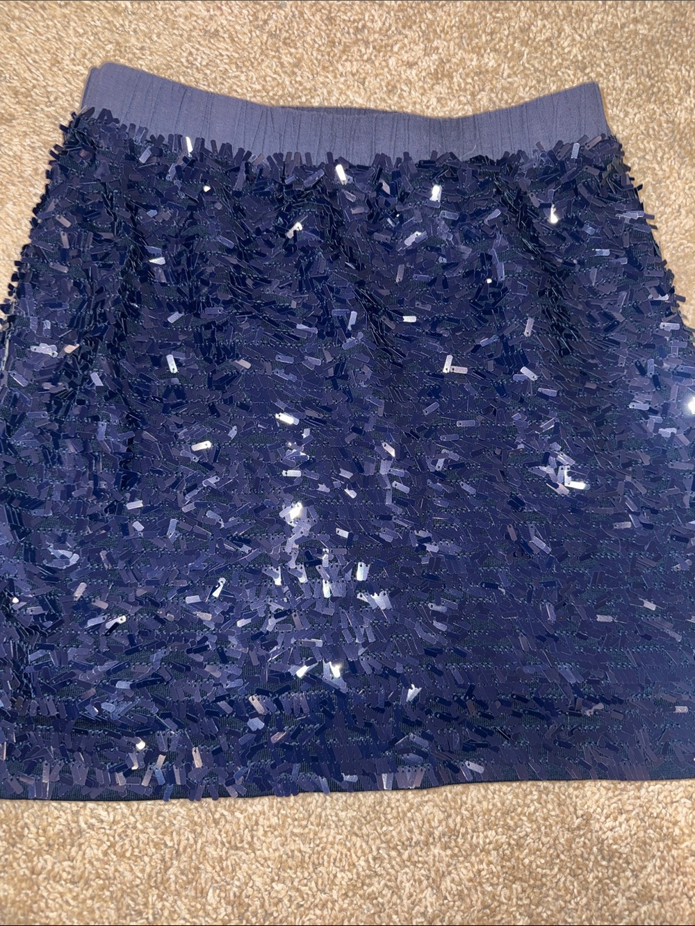 Crewcuts Navy Sequin Fringe Mini Skirt